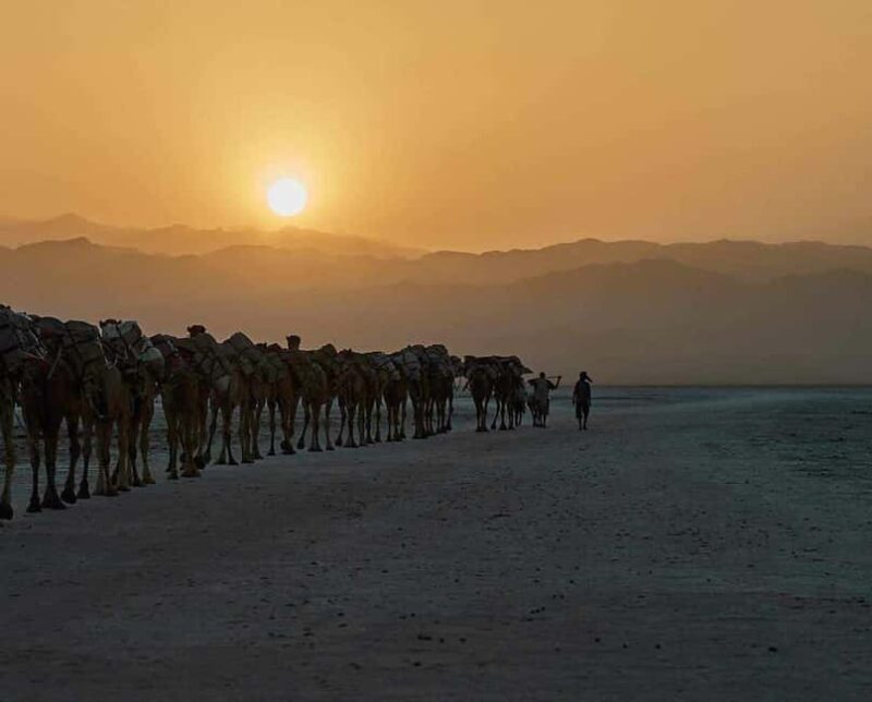 3 Days / 2 Nights Danakil Depression Tours - Who Would Love This Tour