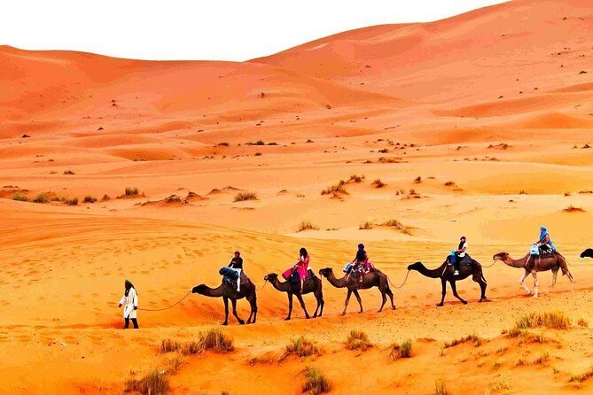 3 Days 2 nights Desert Tour from and back to Marrakech - The Itinerary Breakdown: What to Expect