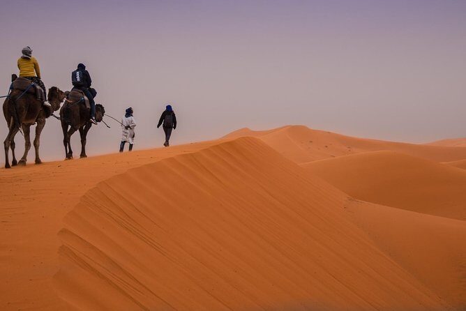 3 Days 2 Nights: Desert Tour from Fes to Marrakech - The Experience: Transportation, Guides, and Value