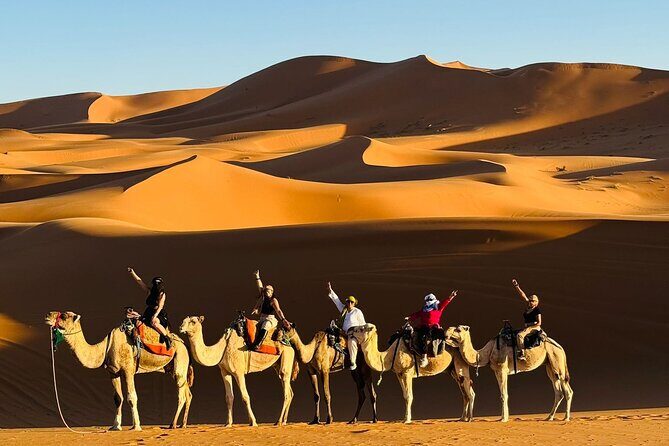3 Days 2 Nights Desert Tour from Fes to Marrakech via Merzouga - What Travelers Say