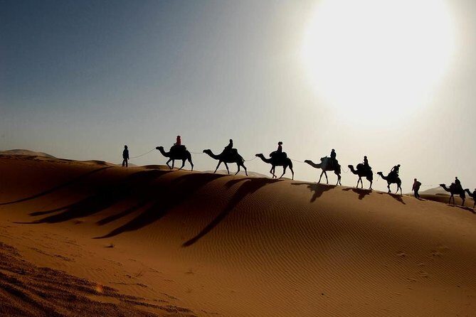 3 Days 2 Nights Desert tour From Marrakech to Merzouga Desert - Key Points