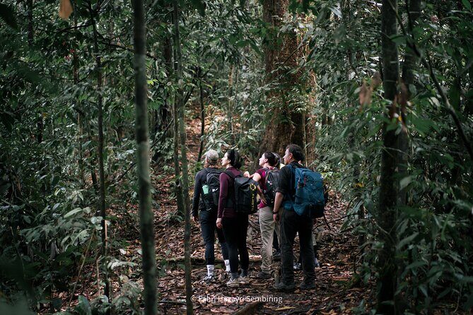 3 Days 2 Nights Ethical Jungle Trekking - FAQ