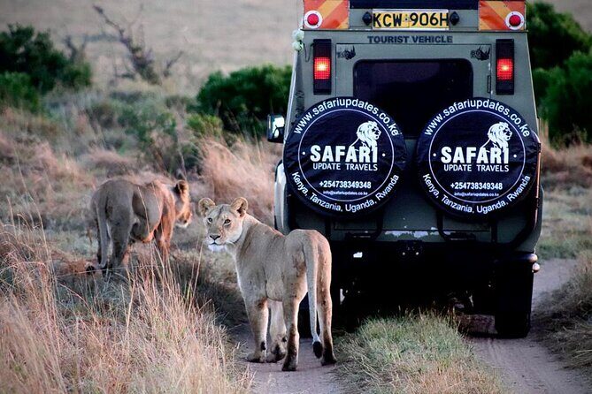 3 Days 2 nights Group joining Midrange Safari Tour in Masai maraa - What’s Included and What’s Not?