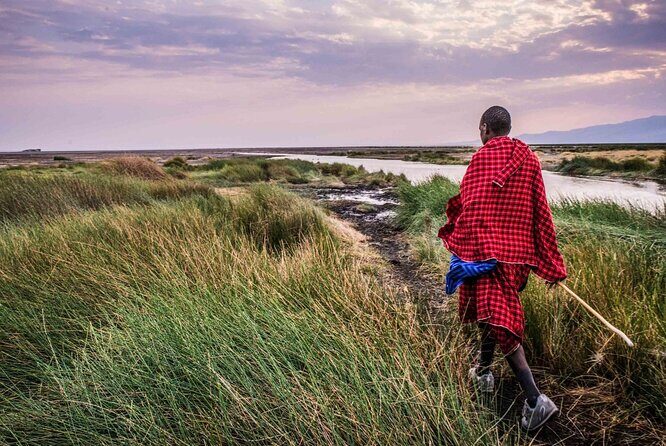 3 Days 2 Nights Group Joining Serengeti and Ngorogoro Safari - Why This Tour Is a Good Pick