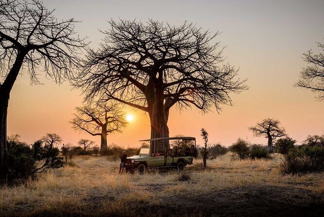 3 Days 2 Nights Group Joining Serengeti and Ngorogoro Safari - Final Thoughts