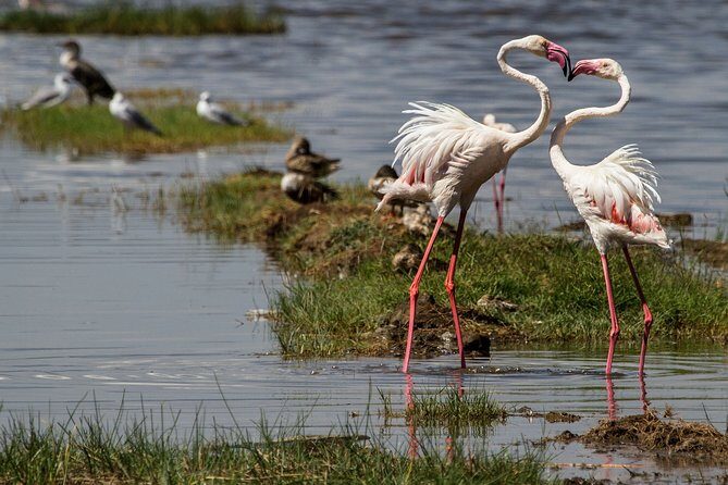 3 Days 2 Nights in Maasai Mara via The Great Rift Valley - Logistics and Practical Details