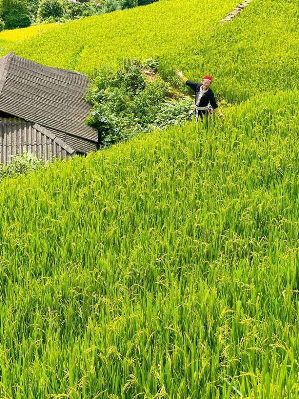 3-days-2-nights-in-sapa-1-night-homestay-1-night-hotel