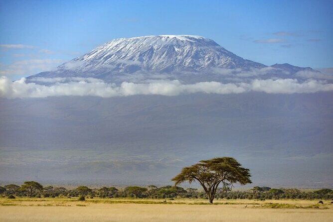 3 Days 2 Nights Joining Tour to Amboseli National Park - Key Points