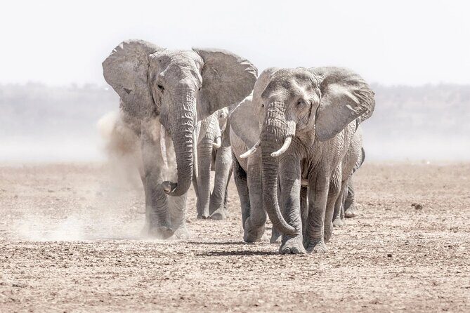 3 Days 2 Nights Joining Tour to Amboseli National Park - Authentic Experiences and Unique Insights