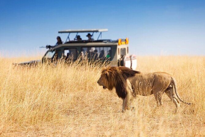 3 Days - 2 Nights Maasai Mara from Nairobi - An In-Depth Look at the Maasai Mara Safari Experience