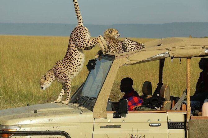 3 Days - 2 Nights Maasai Mara from Nairobi - Final Thoughts
