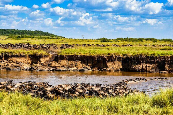 3 Days 2 Nights Maasai Mara Guided Safari Tour - The Experience in Detail: What to Expect from the Maasai Mara Guided Safari