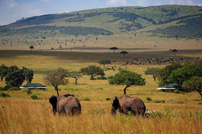 3 Days 2 Nights Maasai Mara National Reserve Joining Safari - The Starting Point and First Day
