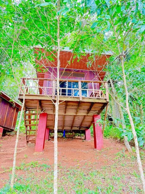 3 Days 2 Nights Magoroto Forest Trip from Zanzibar by Flight - What Makes This Tour Stand Out?