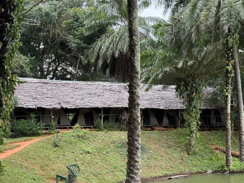 3 Days 2 Nights Magoroto Forest Trip from Zanzibar by Flight - Possible Drawbacks or Considerations