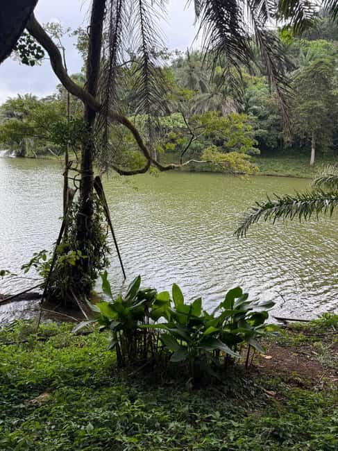 3 Days 2 Nights Magoroto Forest Trip from Zanzibar by Flight - Who Should Consider This Trip?