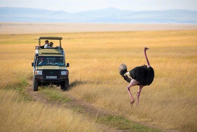 3 days 2 nights Masai Mara Budget safari from Nairobi - The Sum Up