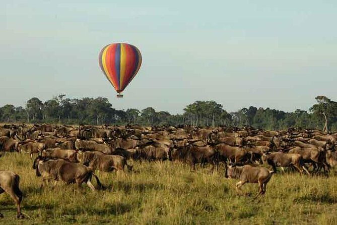 3 Days 2 Nights Masai Mara Joining Safari From Nairobi - FAQs  