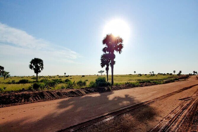 3 Days 2 Nights, Murchison Falls And Wildlife Safari - Day 3: Reflection & Return