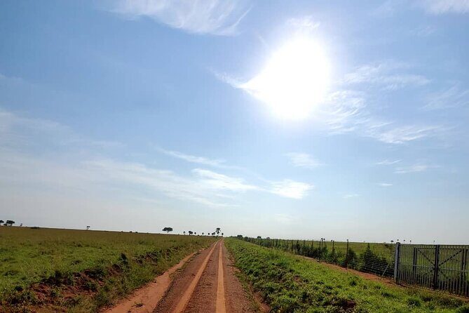3 Days 2 Nights, Murchison Falls And Wildlife Safari - Transportation & Group Size