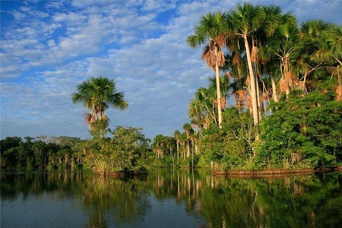 3-days-2-nights-peruvian-tambopata-jungle