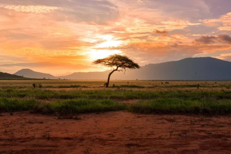 3 Days 2 Nights private flying Luxury Safari to Amboseli - What Makes This Safari Stand Out?