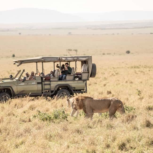 3 Days 2 Nights Private Tour in Maasai Mara - Key Points