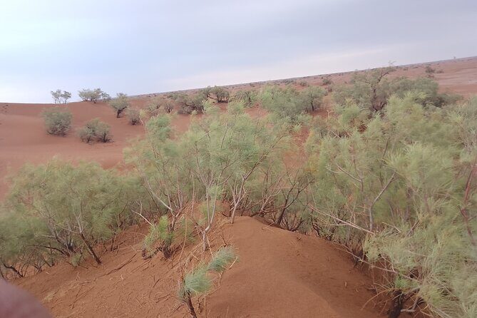 3 days 2 nights: Safari Desert Erg Zahar & Erg Chigaga - Who This Tour Is Best For