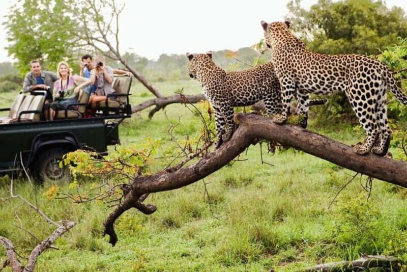 3 DAYS, 2 NIGHTS SAFARI FROM ZANZIBAR TO MIKUMI BY FERRY. - Key Points