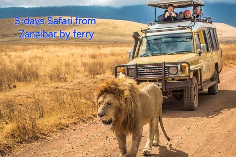 3 DAYS, 2 NIGHTS SAFARI FROM ZANZIBAR TO MIKUMI BY FERRY. - Introduction: A Well-Balanced Tanzanian Adventure