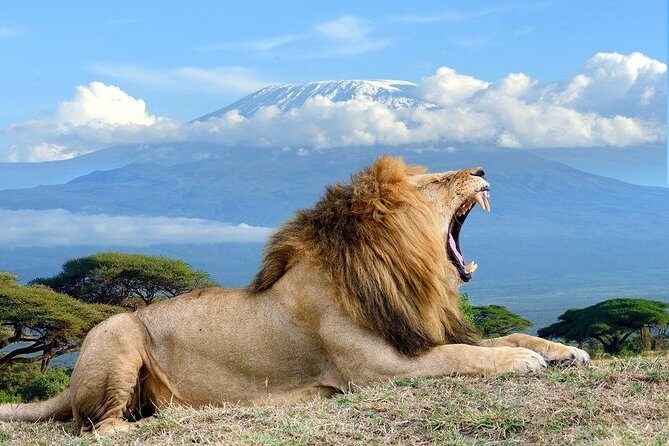 3 days, 2 nights safari to Amboseli National park from Nairobi - What the Tour Includes and How It Adds Value
