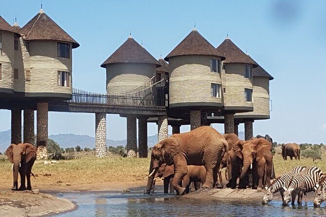 3 Days 2 Nights Safari to Saltlick Lodge from Nairobi - The Overall Experience