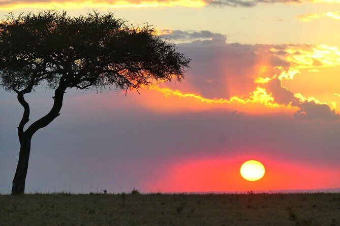 3 Days 2 Nights Safari to Saltlick Lodge from Nairobi - What Reviewers Say