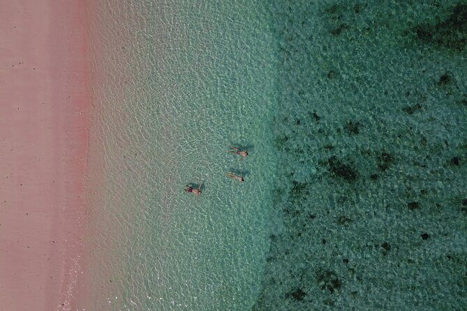 3 Days 2 Nights Sailing Trip to Komodo with Phinisi Boat - Is This Tour Right for You?