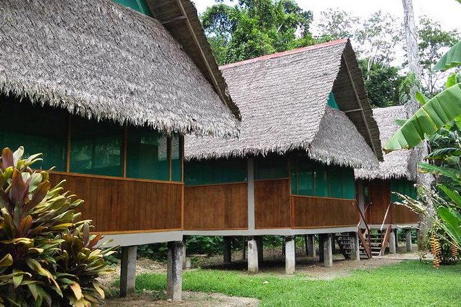 3-days-2-nights-tambopata-jungle