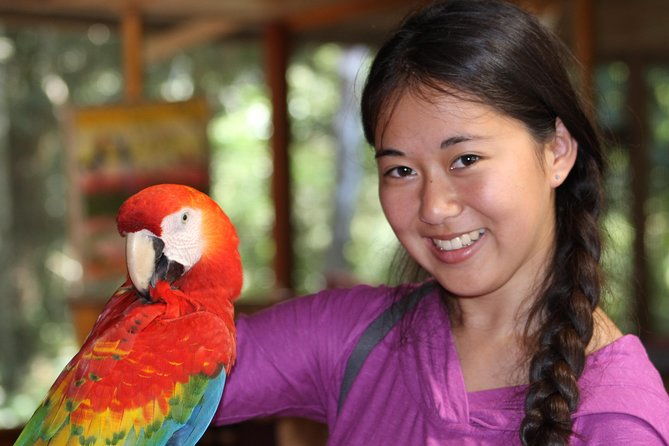 3-days-2-nights-tambopata-jungle