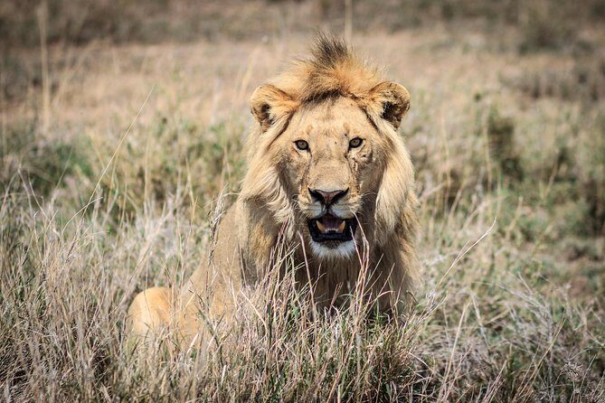 3-Days 2-nights Tanzania Private Budget Camping Safari - Overview and Practicalities