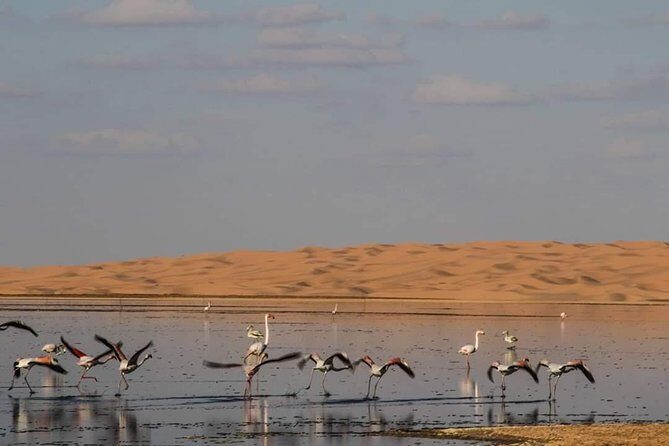 3 Days 2 Nights tour from Marrakech to Marrakech via Merzouga Sahara Desert - An In-Depth Look at the Morocco Sahara Tour