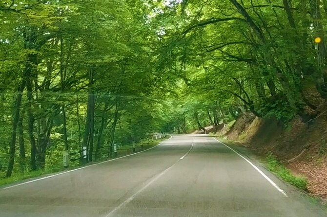 3-days-2-nights-vashlovani-national-park-tour-package-in-georgia