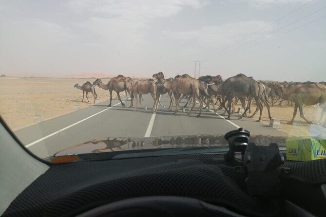 3 Days 2Nights Desert Trip to Fez from Marrakech - Day-by-Day Breakdown