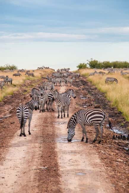 3 days 2nights masai mara joining safari Jeep - Extra Options: Cultural Encounters