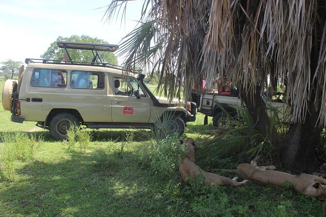 3 Days/2Nights Nyerere National Park Safari - Who Should Consider This Safari?