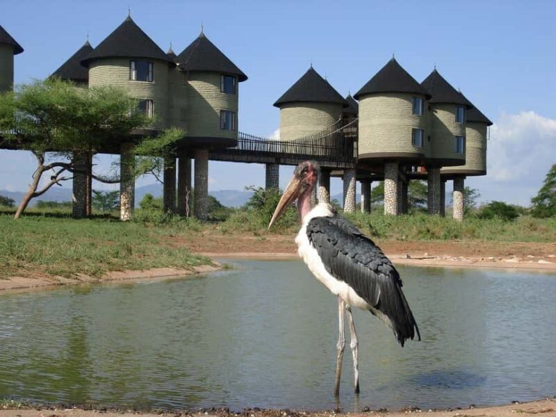 3 days 2nights private safari to Saltlick Safari Lodge - Nrb - The Sum Up: Who Is This Safari Perfect For?