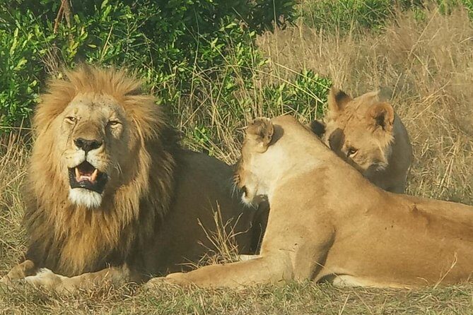 3 Days adventurous Maasai Mara Budget Group Safari - FAQ