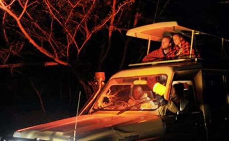 3-Days Akagera Safari, boat cruise and night game drive. - Who Is This Tour Best For?