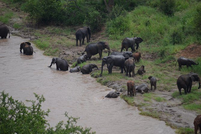 3 Days All Inclusive Zanzibar to Tarangire Ngorongoro - Final Thoughts  