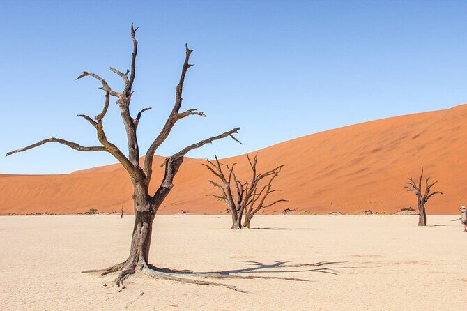 3 Days Amazing Red Dunes of Sossusvlei | Private Guided Tour - Dune 45: The Iconic Red Mega-Dune