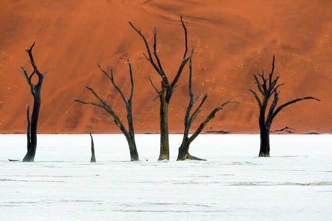 3 Days Amazing Red Dunes of Sossusvlei | Private Guided Tour - Deadvlei: The Otherworldly Landscape