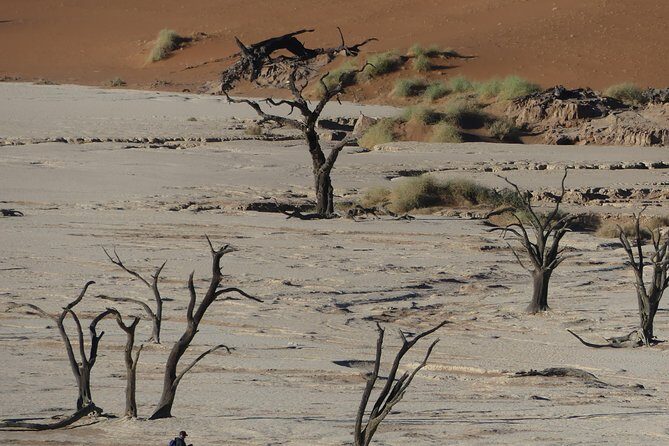 3 Days Amazing Red Dunes of Sossusvlei | Private Guided Tour - Sesriem Canyon: Nature’s Artwork