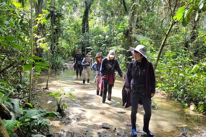 3-days-amazon-jungle-tour-in-manu-peru